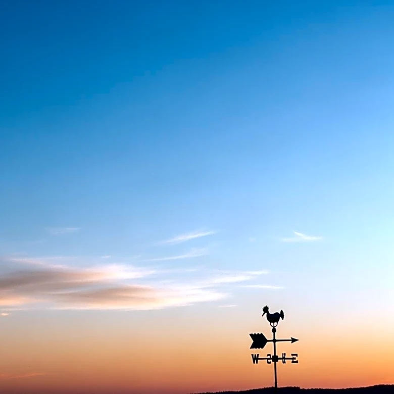 Bowie Weather Update: Clear Skies and Mild Temperatures Expected