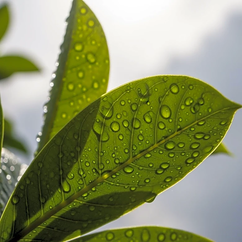 Philadelphia Faces Unseasonably Warm Weather with Potential Rain