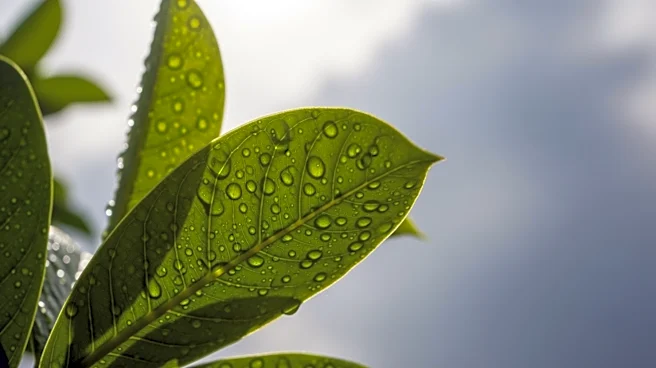 Philadelphia Faces Unseasonably Warm Weather with Potential Rain