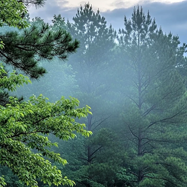 Smoke Lingers and Rain Chances Increase in South Carolina