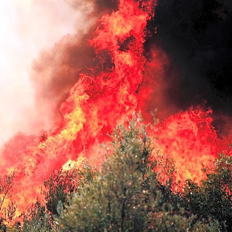 Drought-fueled fires destroy nearly 90 homes in Georgia