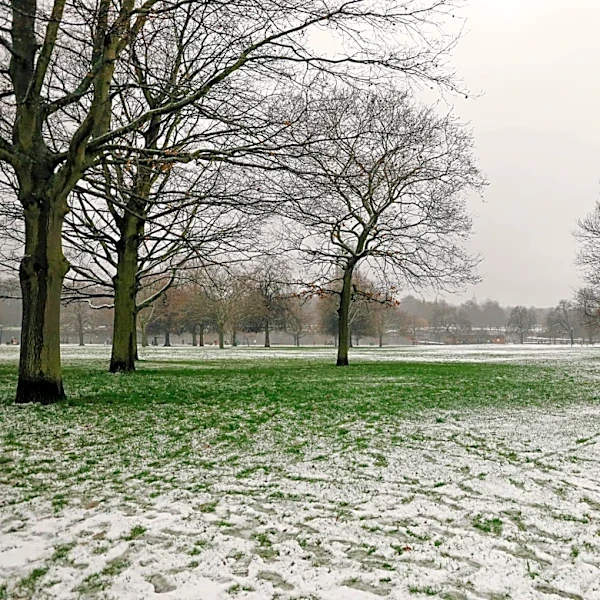 Spring Chill Returns: Rain and Cold Grip Northeast