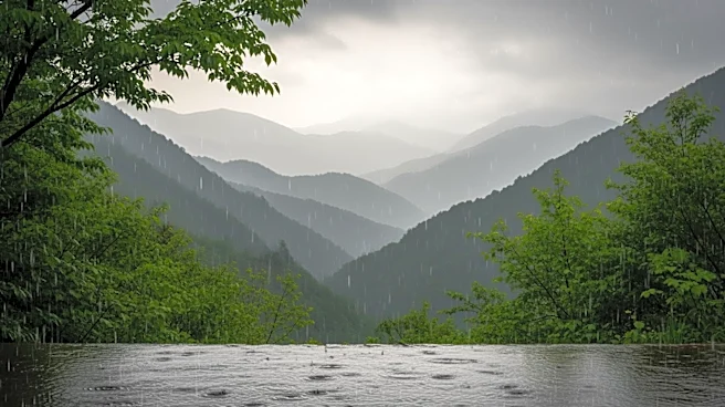 Rainy Weather Challenges Visitors in Great Smoky Mountains