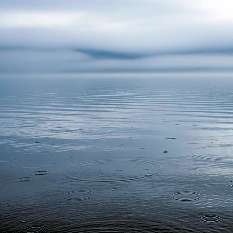 Bay Area Weather: Cool Start with Increasing Clouds and Light Showers Expected