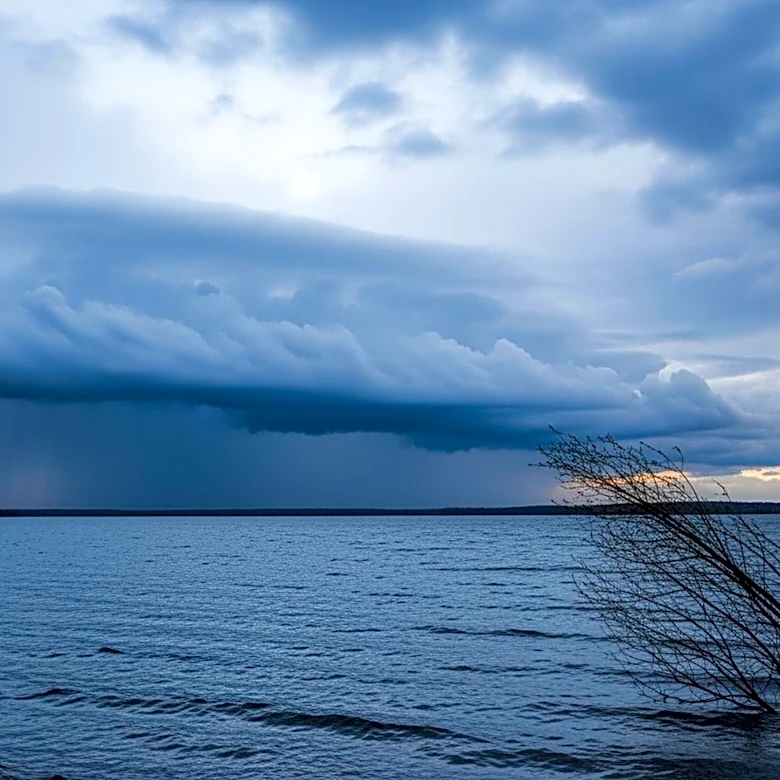 Michigan Weather Forecast: Rain and Wind Expected This Weekend