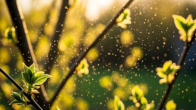 Chicago Faces Pollen Bursts Amid Spring Transition