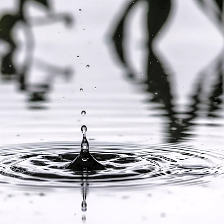 Severe Weather Alert: Heavy Rain and Flooding in Bloomington, Indiana