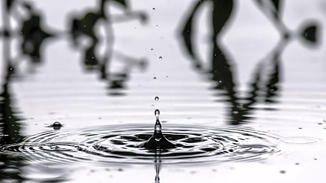 Severe Weather Alert: Heavy Rain and Flooding in Bloomington, Indiana