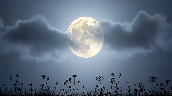 Cloudy Skies May Obscure Flower Moon for Australians