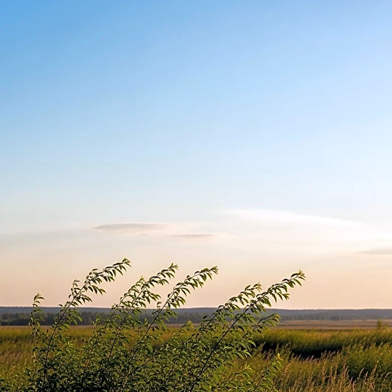 Edmonton Weather: Clear Skies and Mild Temperatures Expected