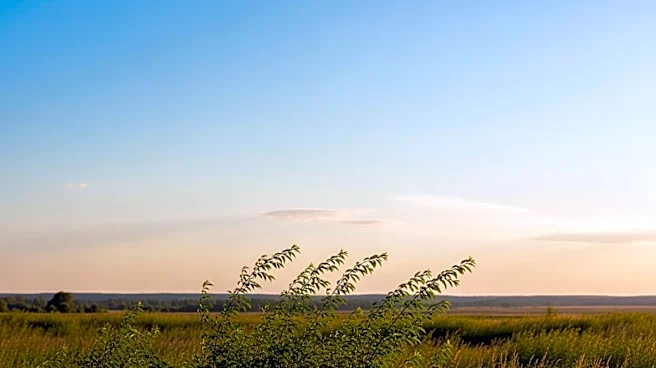 Edmonton Weather: Clear Skies and Mild Temperatures Expected