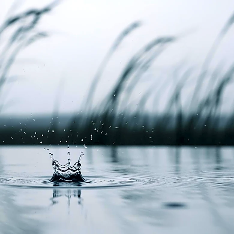 Windy Conditions and Light Rain Expected in Watertown, SD