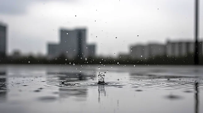 Detroit Weather Update: Rain Expected to Continue