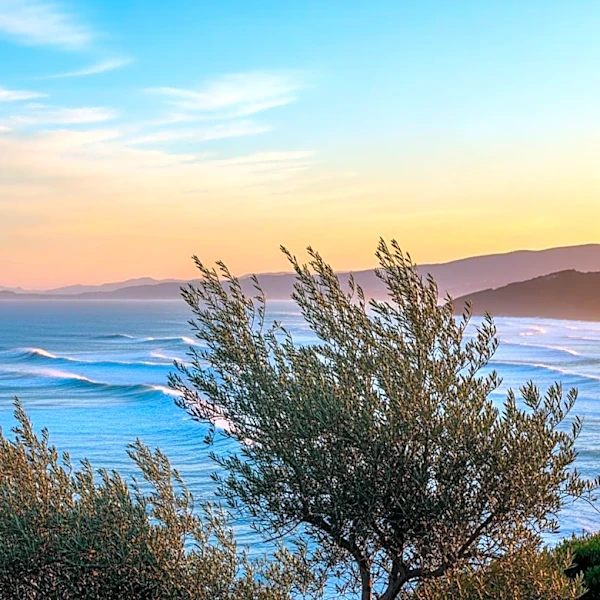 Mediterranean Weather Patterns: A Spring 2026 Outlook