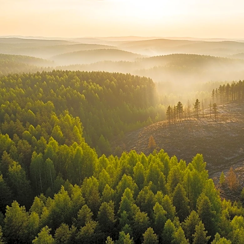 Orange County's Carbon Fire 71% Contained, Evacuation Warnings Lifted