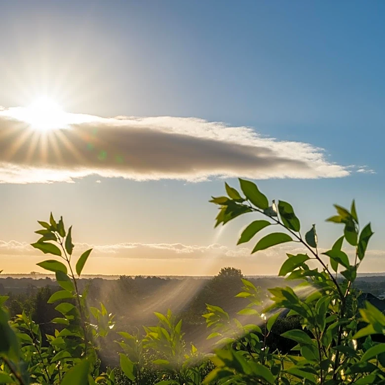 Sunshine and Cooler Temperatures Expected in Raleigh-Durham