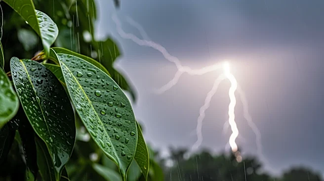 West Virginia Faces Heavy Rain and Thunderstorms This Week