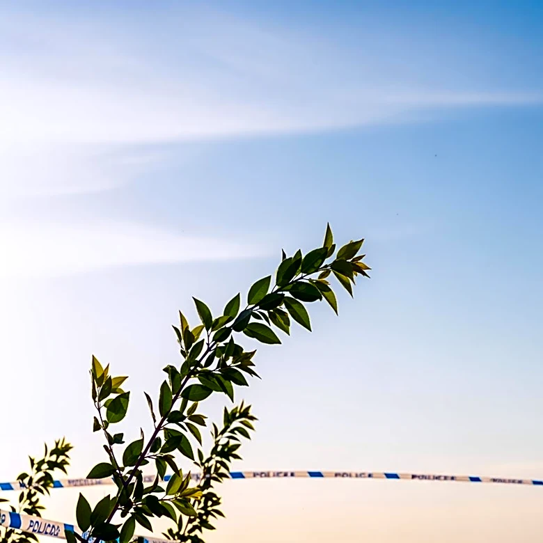 Columbus Weather: Clear Skies and Mild Temperatures Expected