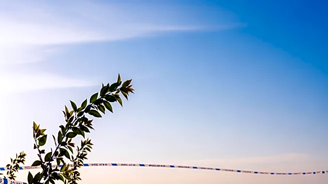 Columbus Weather: Clear Skies and Mild Temperatures Expected