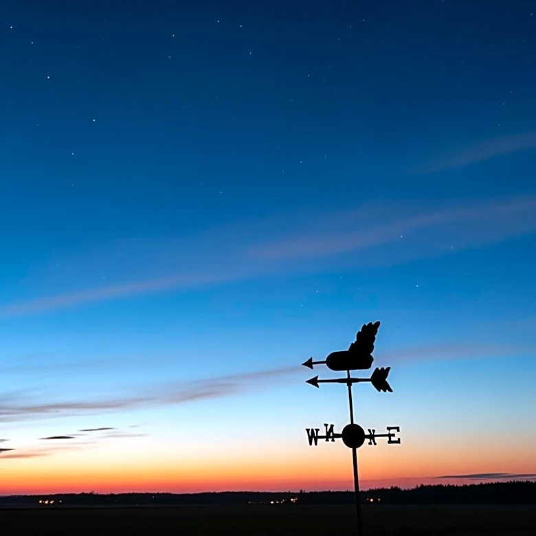 Tuscaloosa Weather: Clear Skies Expected for Upcoming Series