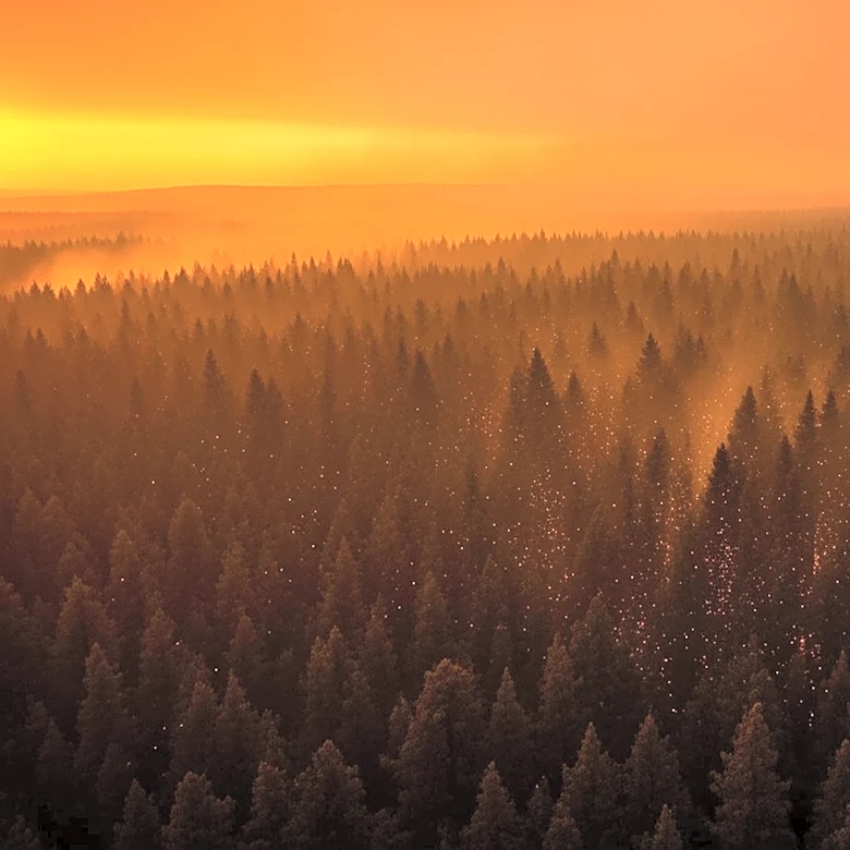 Georgia Wildfire Doubles in Size, Evacuations Possible