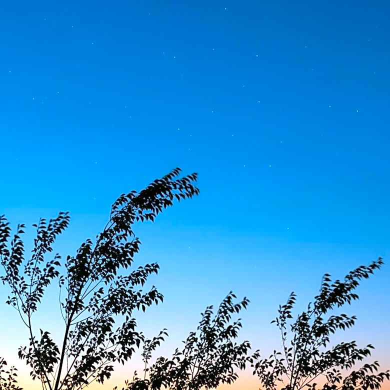 Lexington Weather Update: Clear Skies and Mild Temperatures Expected