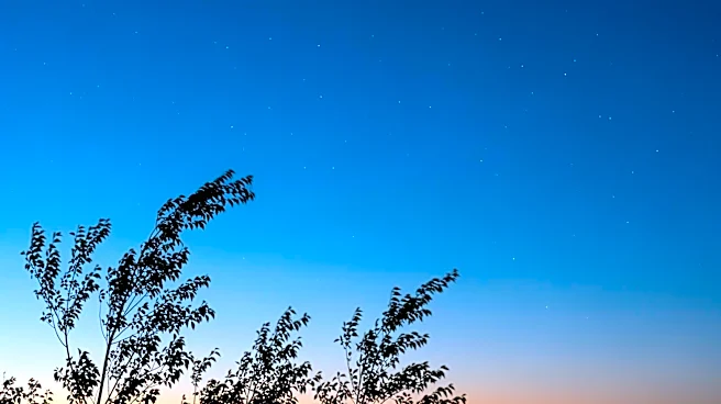 Lexington Weather Update: Clear Skies and Mild Temperatures Expected