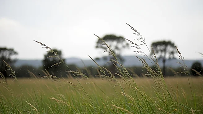 Breezy Conditions and Isolated Showers Expected in Central Florida