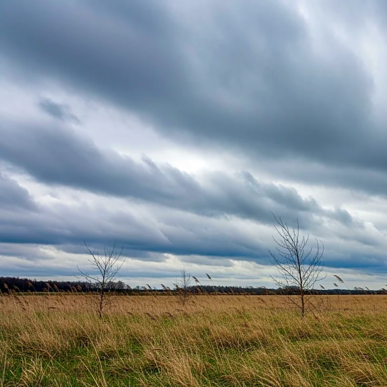 Overcast Conditions in Boone, IA with Moderate Winds