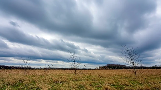 Overcast Conditions in Boone, IA with Moderate Winds