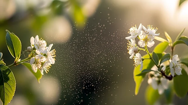 Hay Fever Tips: Coping with Pollen and Allergens