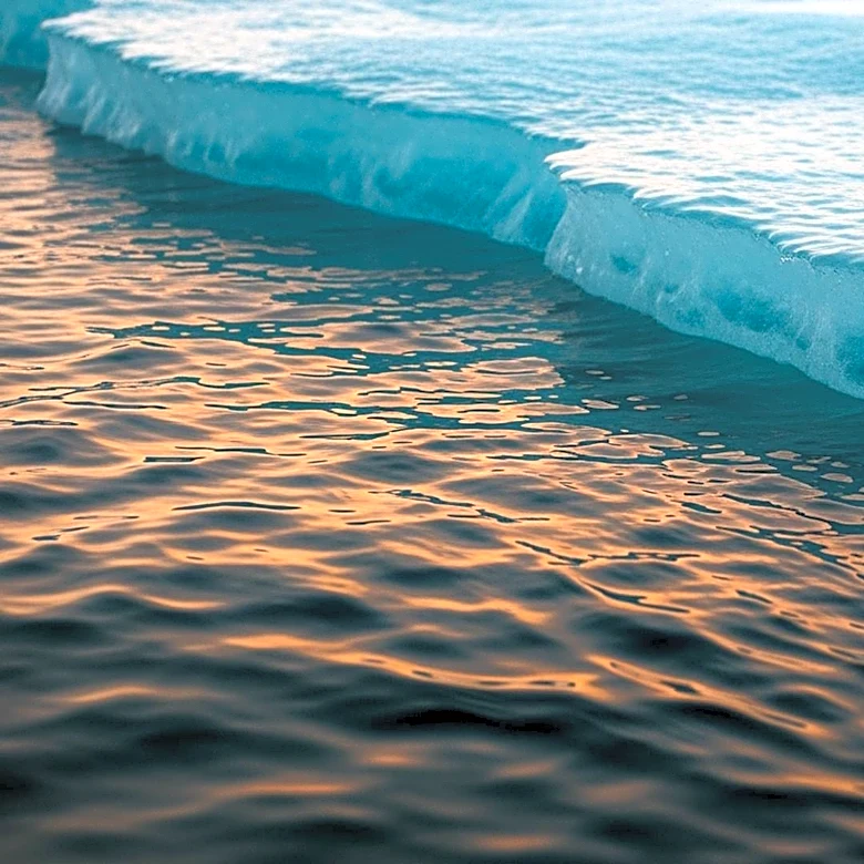 Antarctica Faces Increased Ice Shelf Melting Due to Warm Water Migration