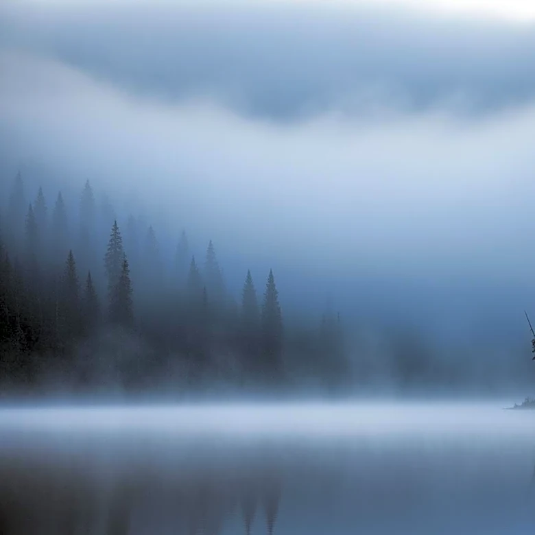 Seattle: Cool Temperatures and Dense Fog Expected