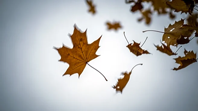 Cooler, Breezy Conditions Expected in Chicago on Tuesday