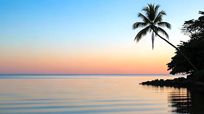 Tampa Weather Update: Clear Skies and Mild Temperatures Expected