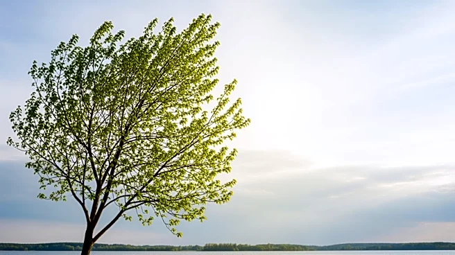 Green Bay Weather: Mild Conditions Expected This Week