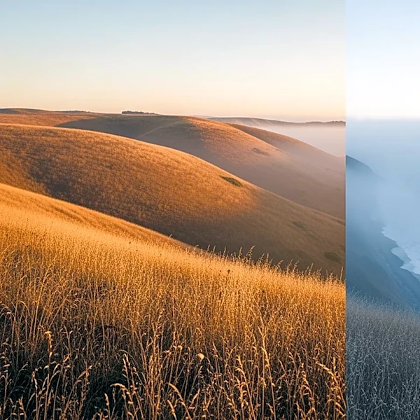 Bay Area Experiences Warm Inland Temperatures Amid Coastal Coolness