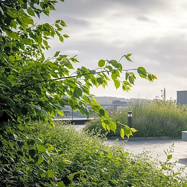 Cooler Weather in NYC with Mild Conditions Before Rain Returns