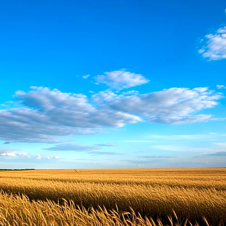 Dry Weather Expected in Minnesota with Isolated Sprinkles Possible