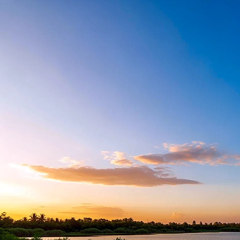 Houston's Weather: Clear Skies and Mild Temperatures Expected