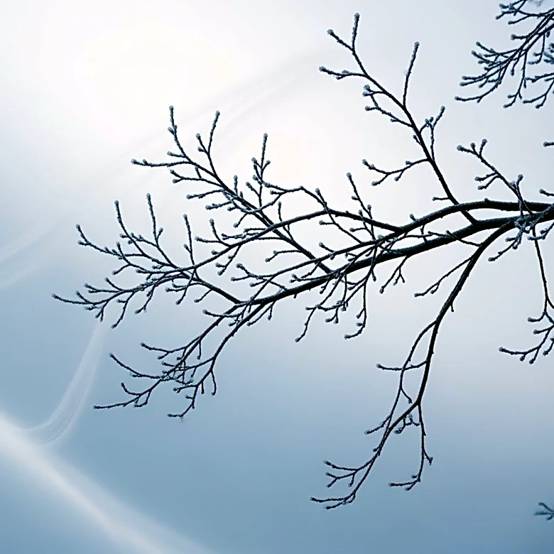Dallas Faces Wind Chill as Cold Front Moves In