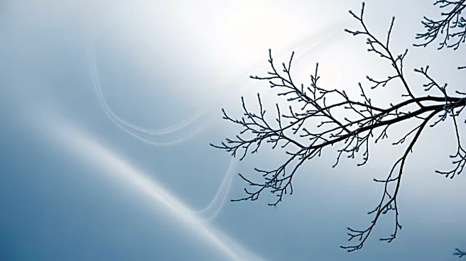 Dallas Faces Wind Chill as Cold Front Moves In