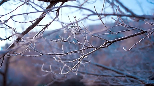 Cold Blast Returns: Frost Risk for Midwest, Northeast