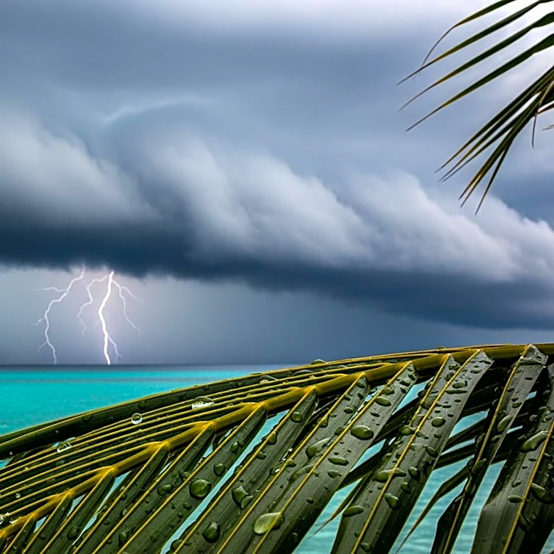 Miami Braces for Heavy Rain and Thunderstorms This Weekend