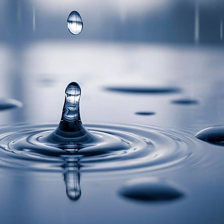 Weather Alert: Heavy Rain Expected in Seattle Area