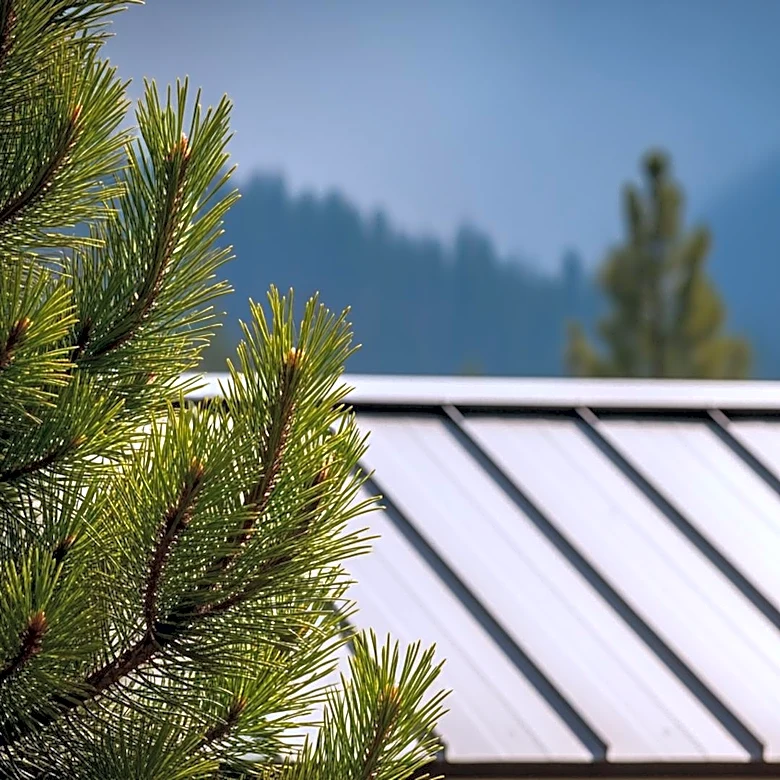 Colorado Considers Grants to Protect Homes from Hail and Wildfire