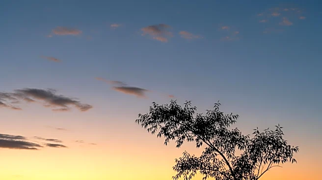 Houston Weather: Clear Skies and Mild Temperatures Expected