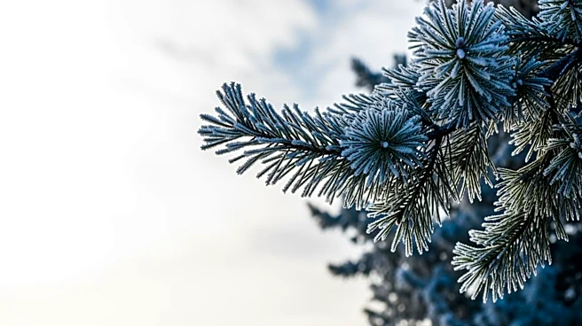 Cooler Than Average Temperatures Expected in Minnesota This Week