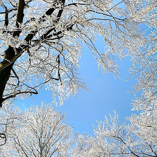 May Starts Chilly as Cool Air Grips Northeast, Mid-Atlantic