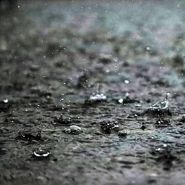 Weekend Washout Looms as Coastal Storm Targets Northeast